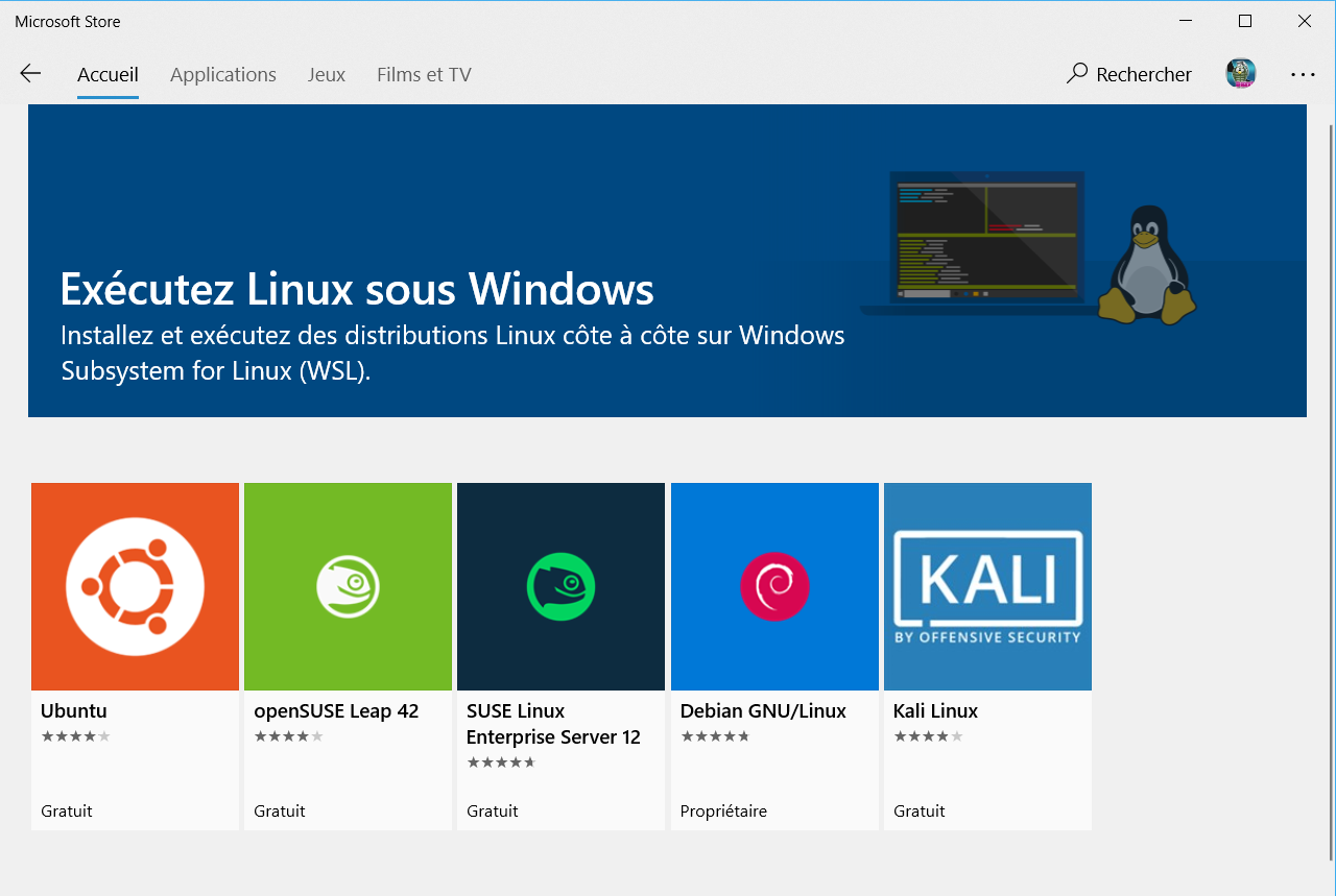 WSL on Store